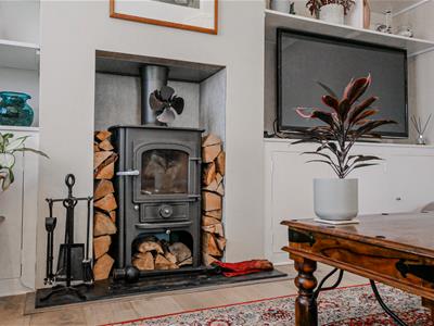 Picture 16